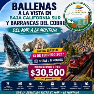 BALLENAS A LA VISTA EN BAJA CALIFORNIA SUR Y BARRANCAS DEL COBRE