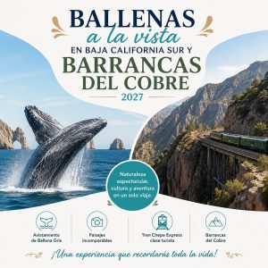 BALLENAS A LA VISTA EN BAJA  CALIFORNIA SUR Y BARRANCAS DEL  COBRE