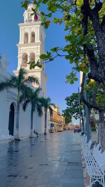 ORIZABA MAGICO - Image 4